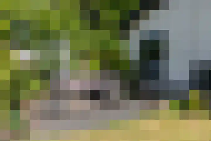Huinerenkweg 5 8 Putten thumbnail 4