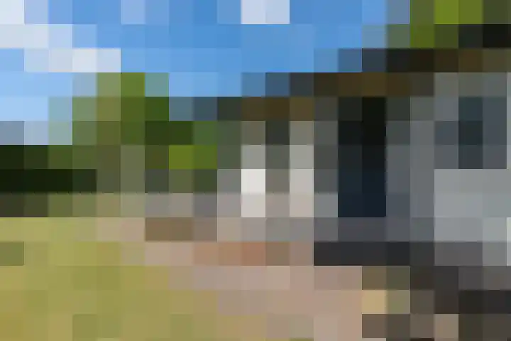 Huinerenkweg 5 8 Putten thumbnail 8