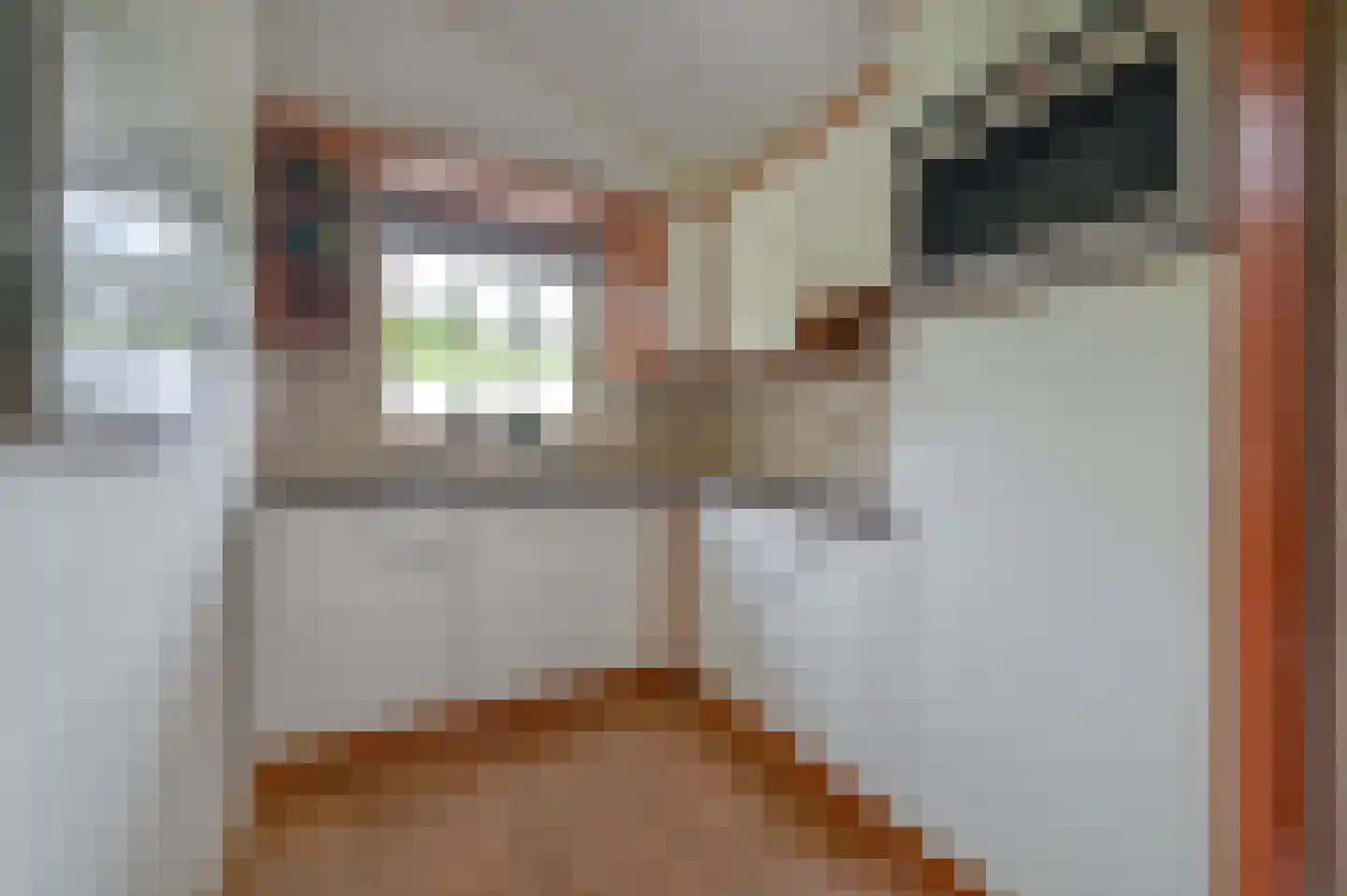 Huinerweg 1 4 Putten thumbnail 10