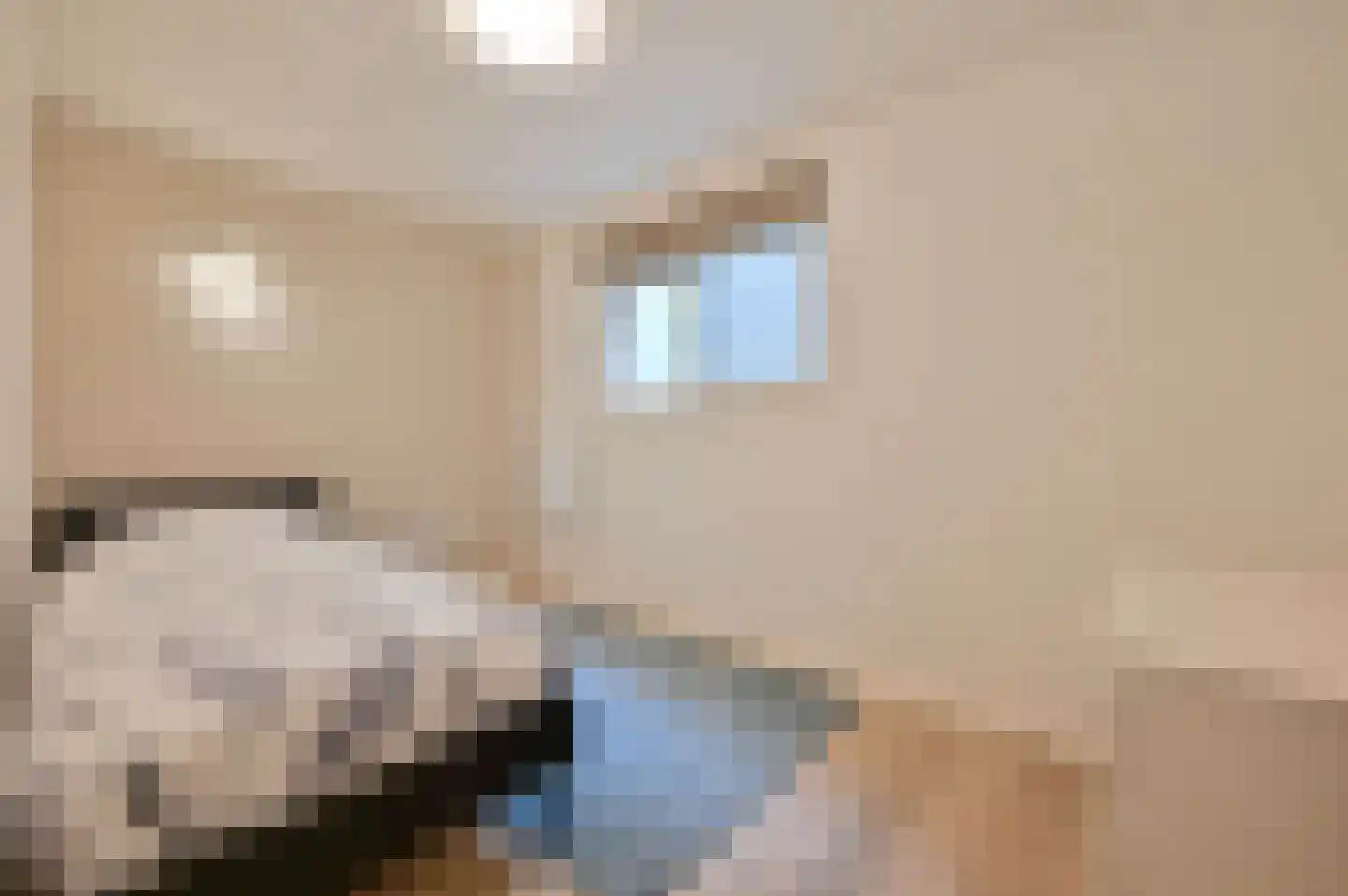 Huinerweg 1 4 Putten thumbnail 14