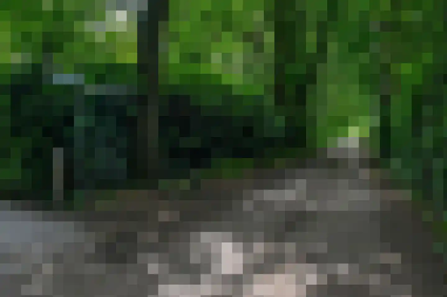 Huinerweg 1 4 Putten thumbnail 24