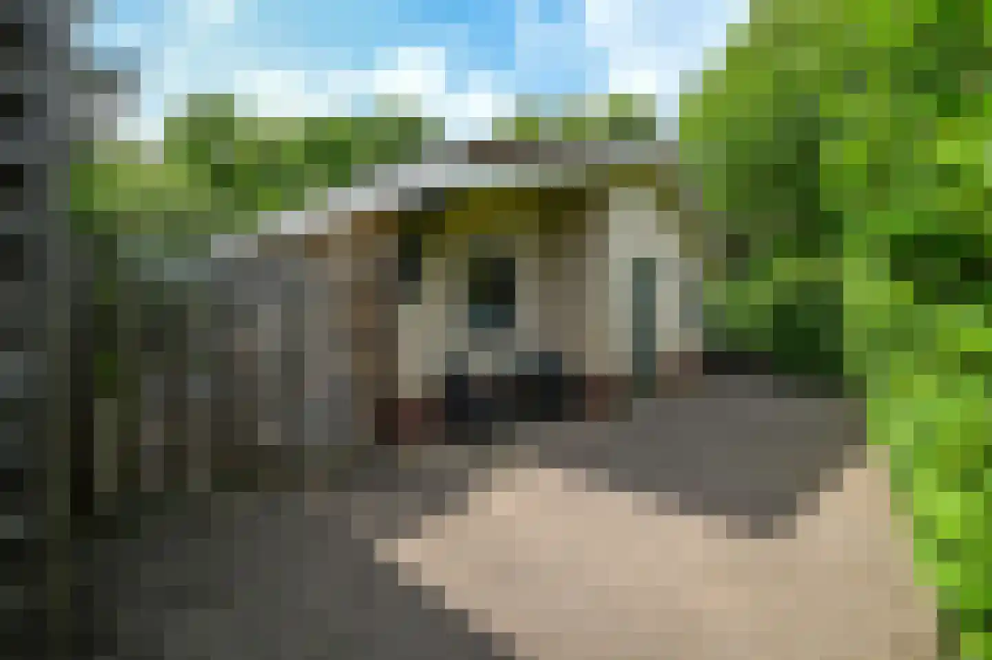 Huinerweg 1 4 Putten thumbnail 4