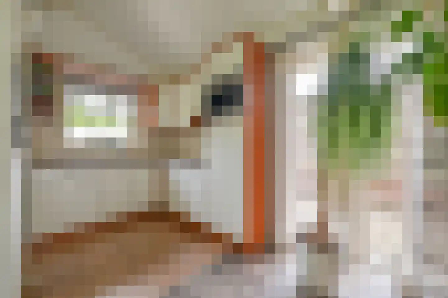 Huinerweg 1 4 Putten thumbnail 9