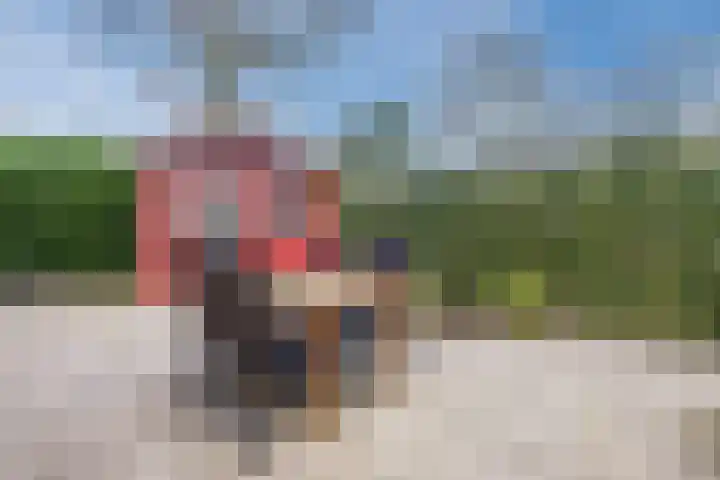 Huinerweg 4 10 Putten thumbnail 31