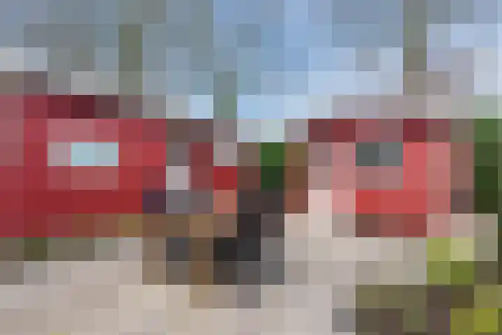 Huinerweg 4 10 Putten thumbnail 32
