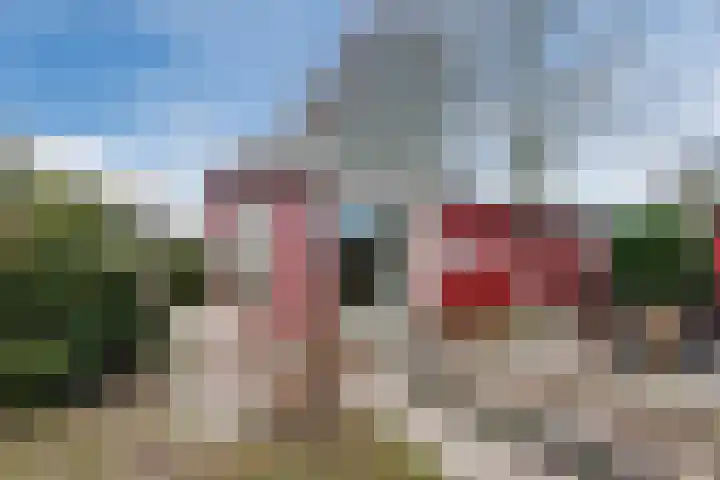 Huinerweg 4 10 Putten thumbnail 33