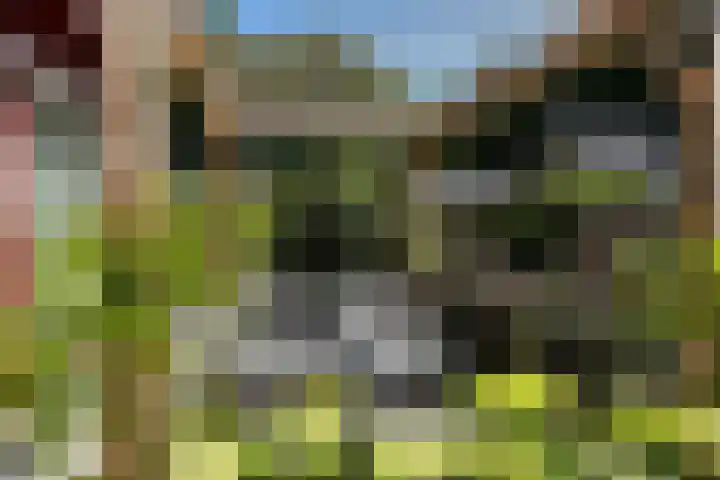 Huinerweg 4 10 Putten thumbnail 35