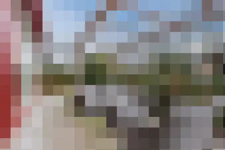 Huinerweg 4 10 Putten thumbnail 36