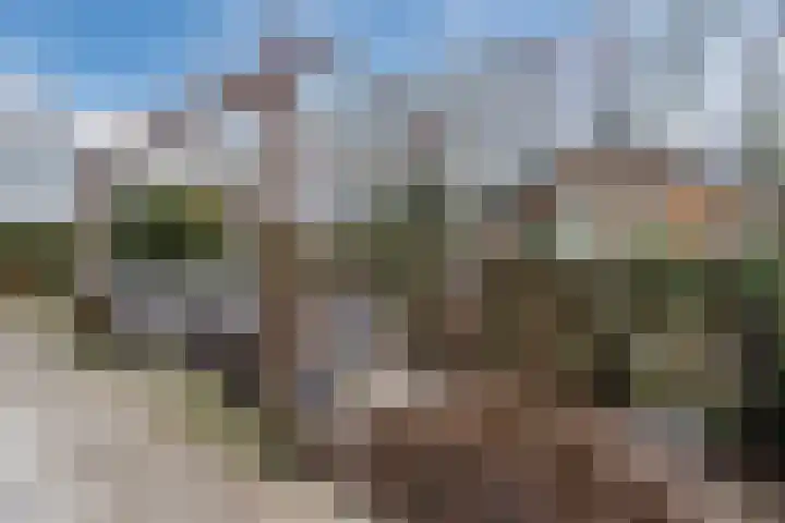 Huinerweg 4 10 Putten thumbnail 38