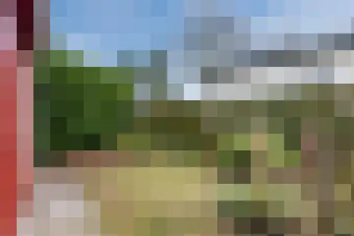 Huinerweg 4 10 Putten thumbnail 42