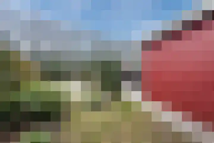 Huinerweg 4 10 Putten thumbnail 43