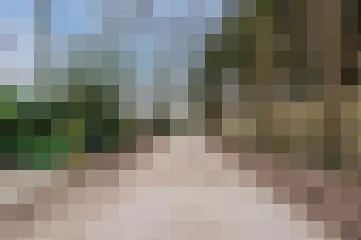 Huinerweg 4 10 Putten thumbnail 49