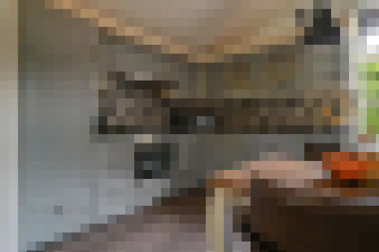 Huinerweg 4 20 Putten thumbnail 12