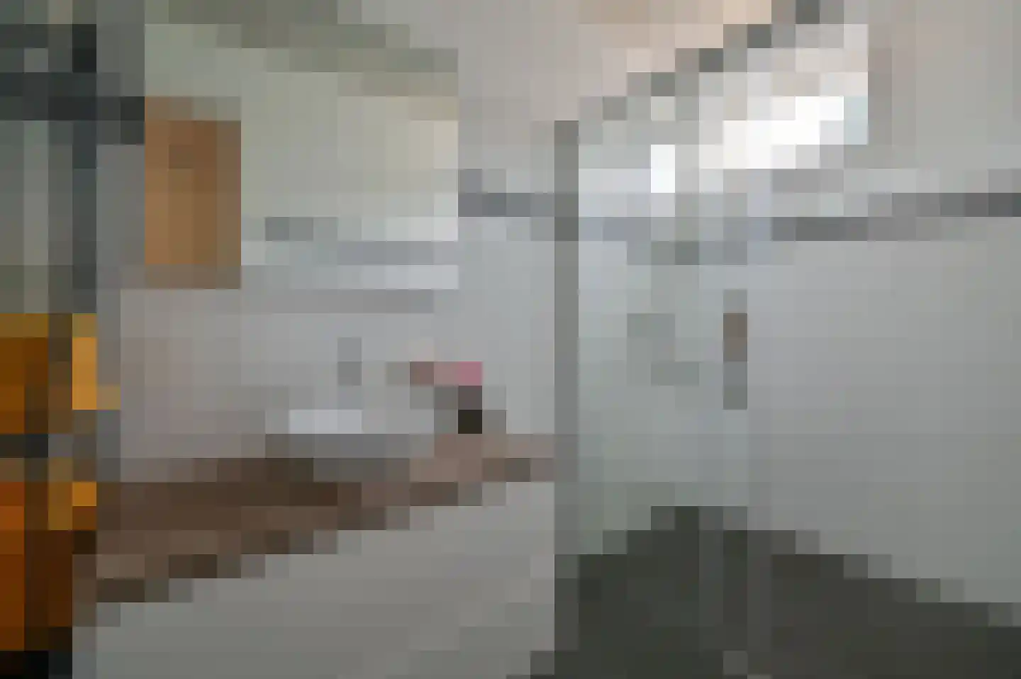 Huinerweg 4 20 Putten thumbnail 15