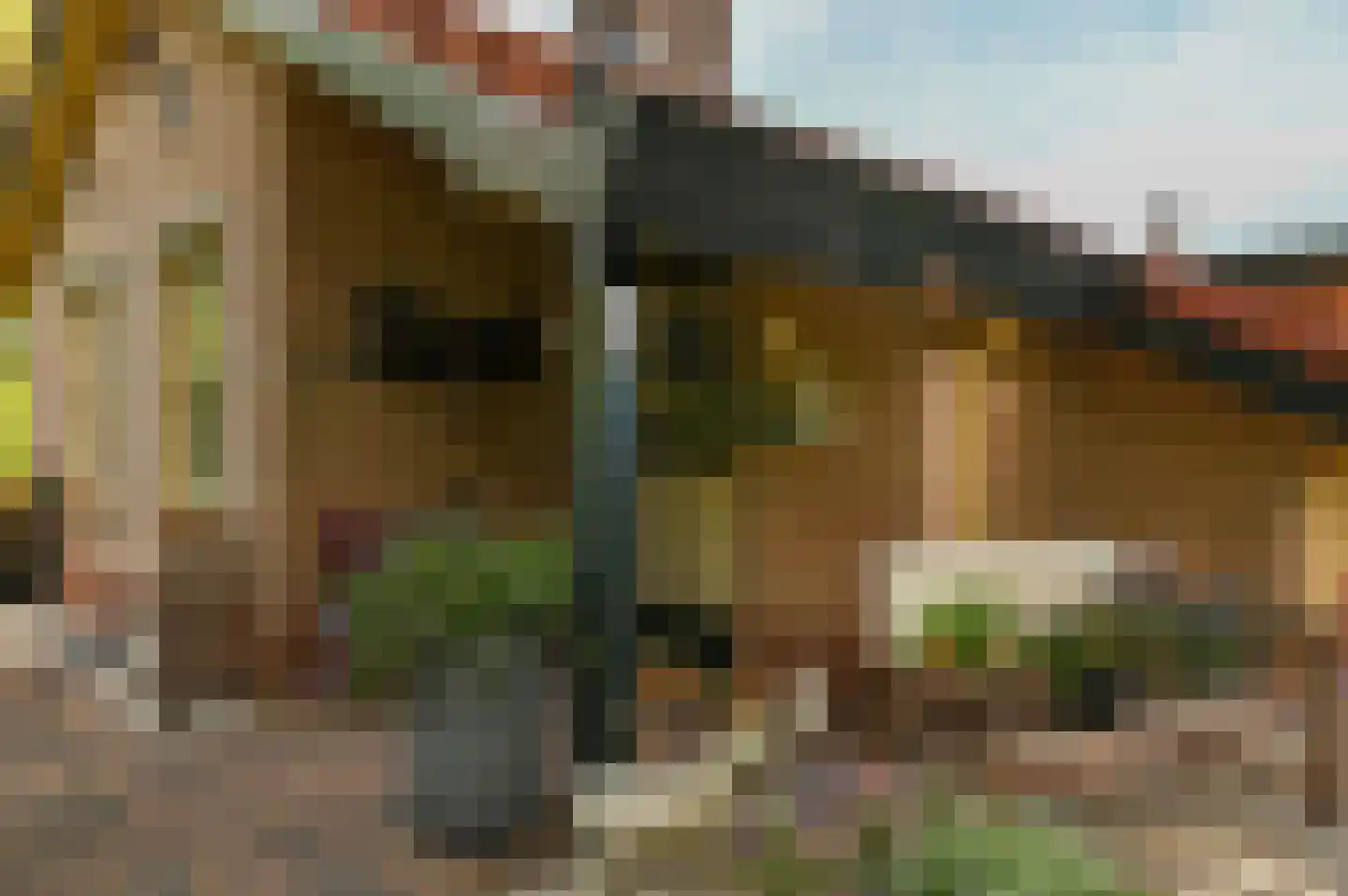 Huinerweg 4 20 Putten thumbnail 22