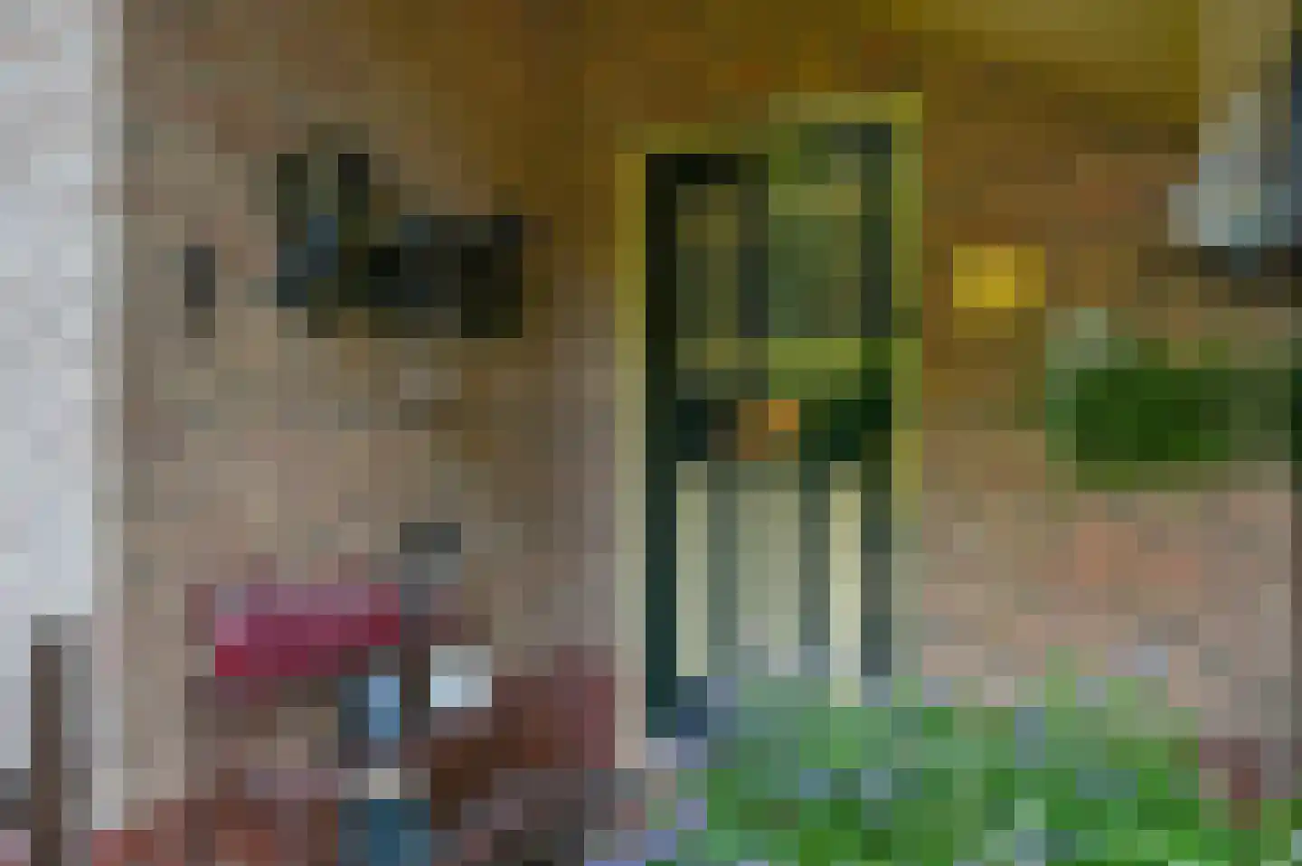 Huinerweg 4 20 Putten thumbnail 5
