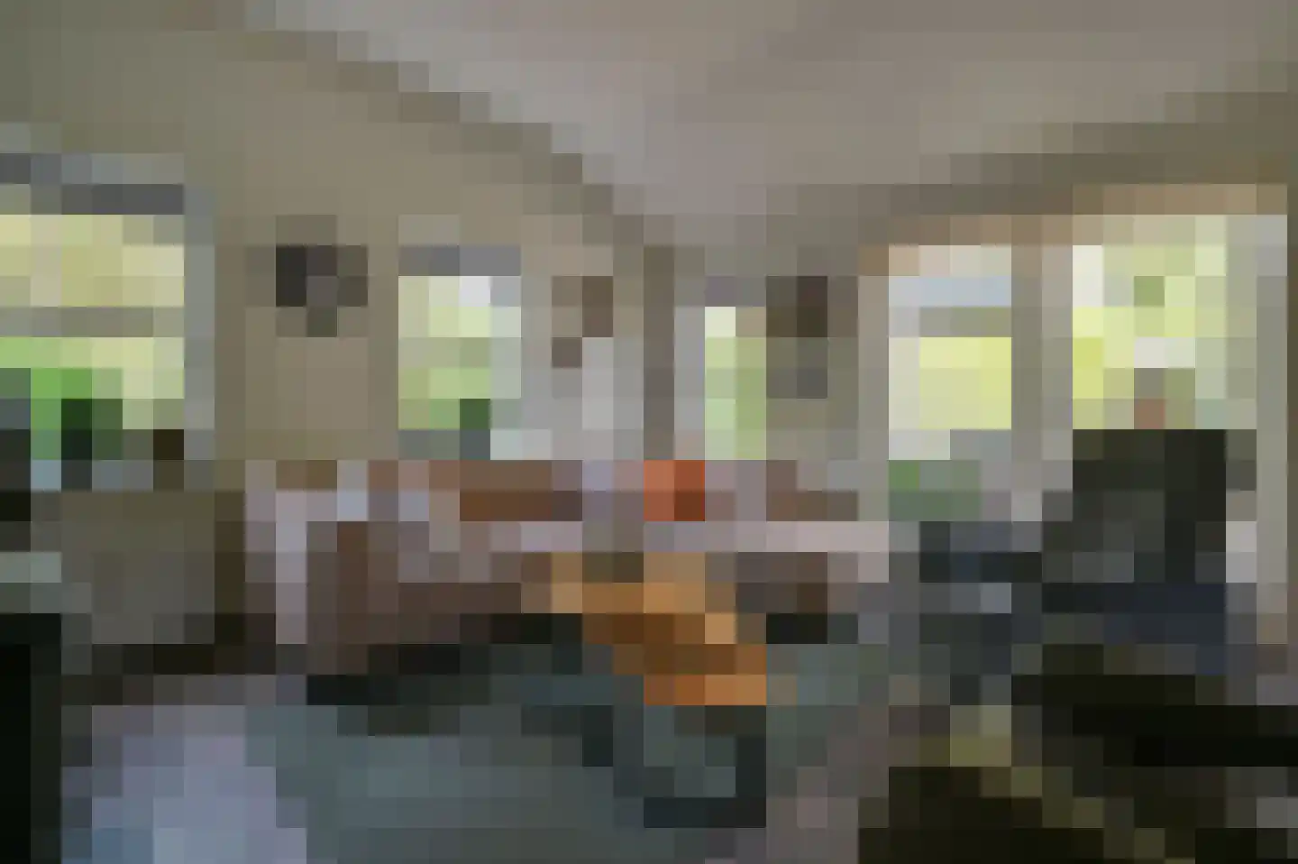Huinerweg 4 20 Putten thumbnail 9