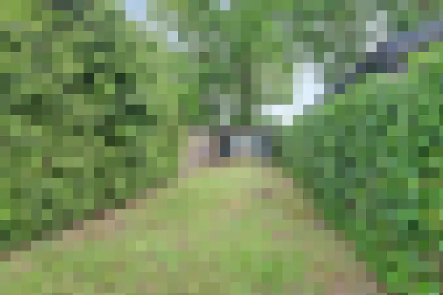 Huinerweg 4 Putten thumbnail 20