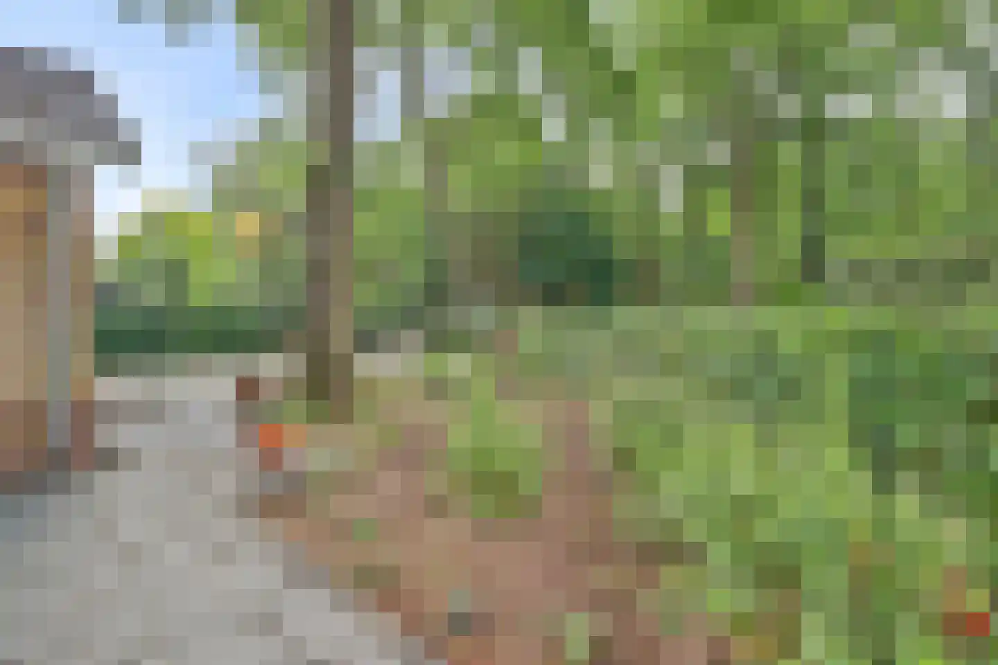 Huinerweg 4 Putten thumbnail 21