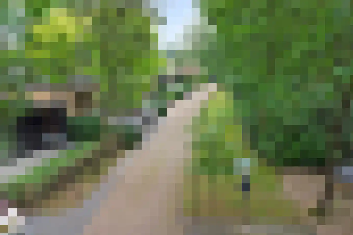 Huinerweg 4 Putten thumbnail 28