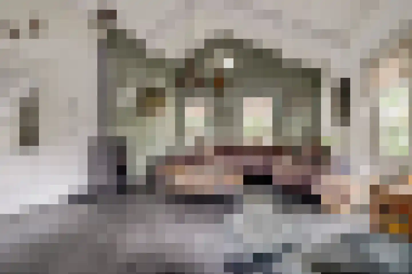 Huinerweg 4 Putten thumbnail 5