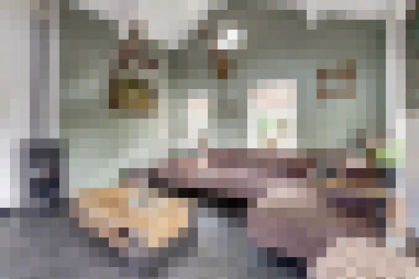 Huinerweg 4 Putten thumbnail 6