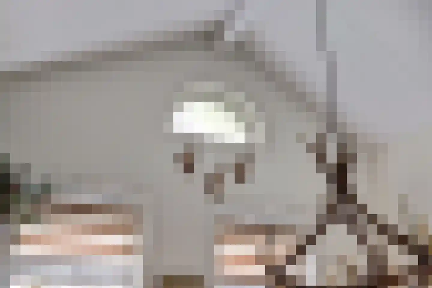 Huinerweg 4 Putten thumbnail 7