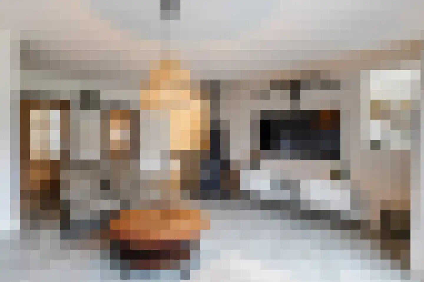 Huininkmaat 14 Lichtenvoorde thumbnail 16