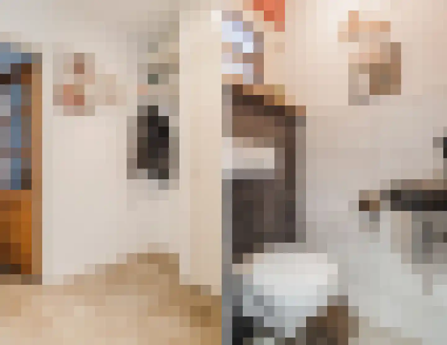 Huininkmaat 14 Lichtenvoorde thumbnail 19
