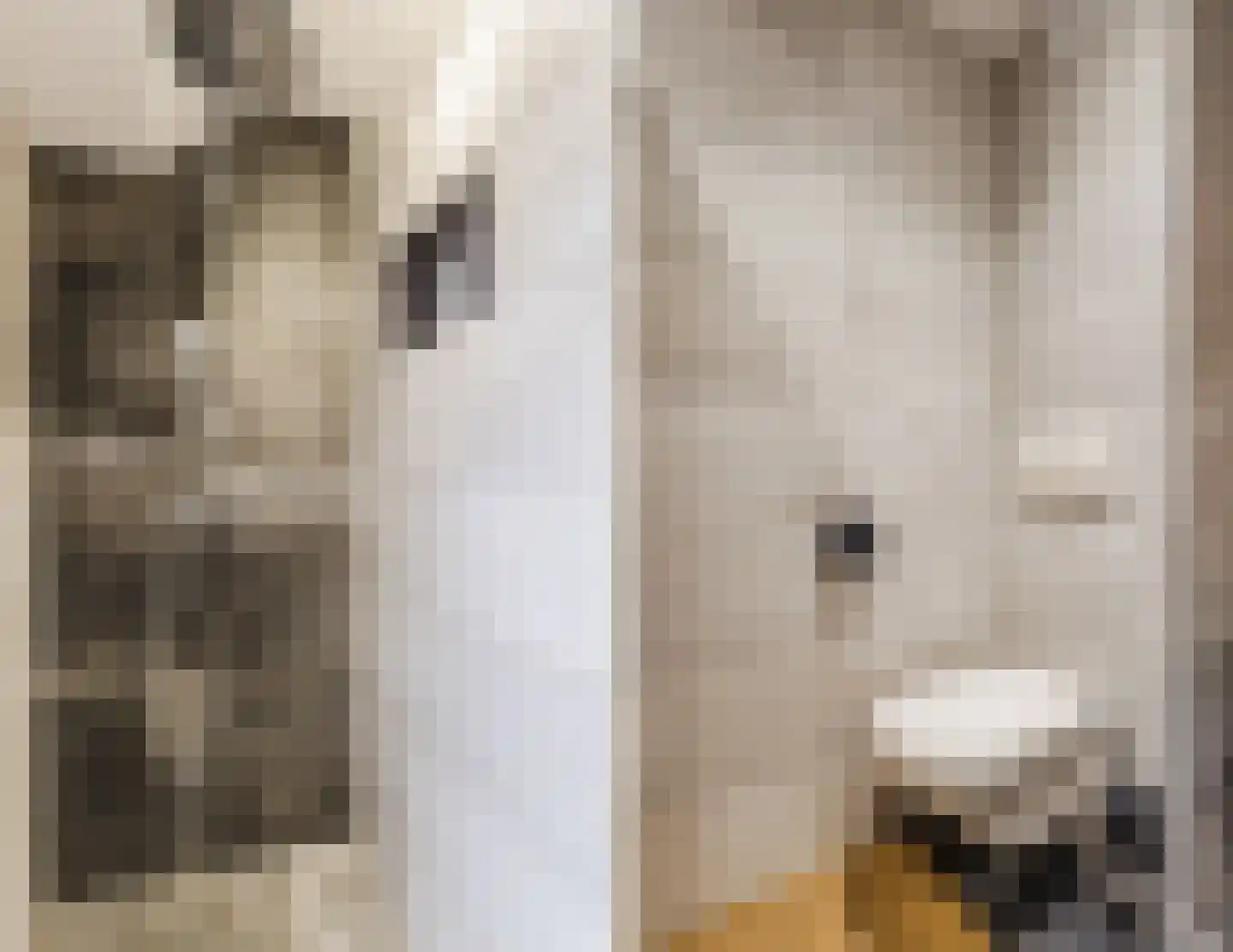 Huininkmaat 14 Lichtenvoorde thumbnail 31