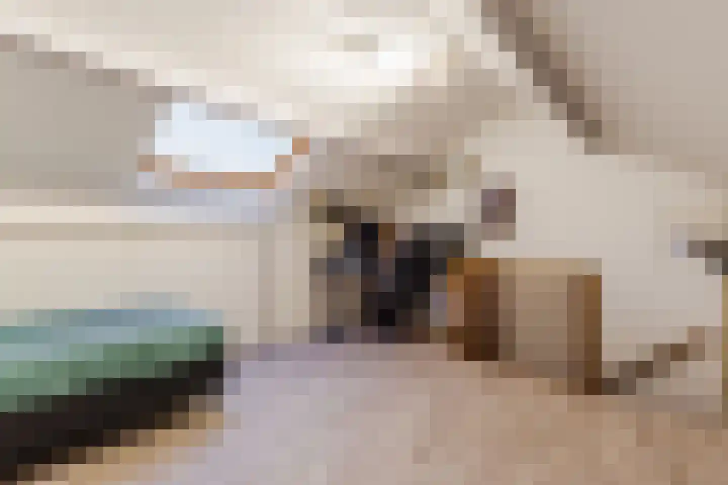 Huininkmaat 14 Lichtenvoorde thumbnail 33