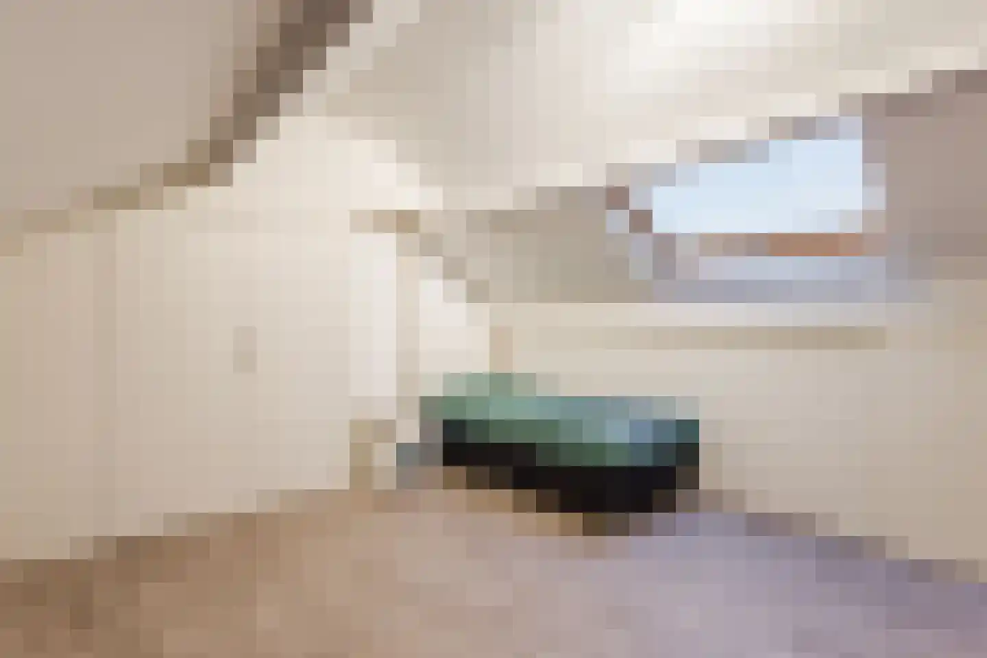 Huininkmaat 14 Lichtenvoorde thumbnail 34