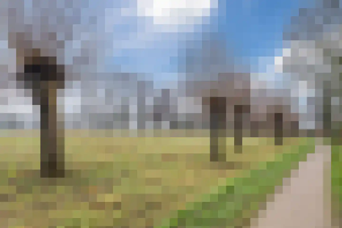 Huininkmaat 14 Lichtenvoorde thumbnail 45