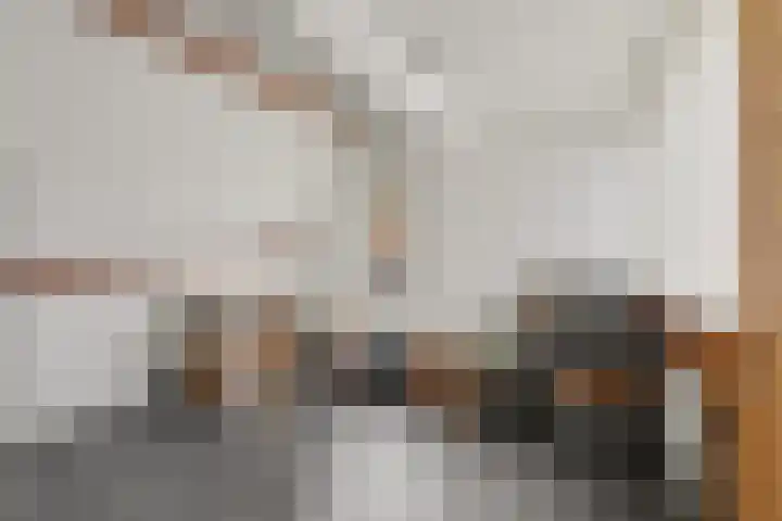 Huininkmaatstraat 34 Winterswijk thumbnail 32