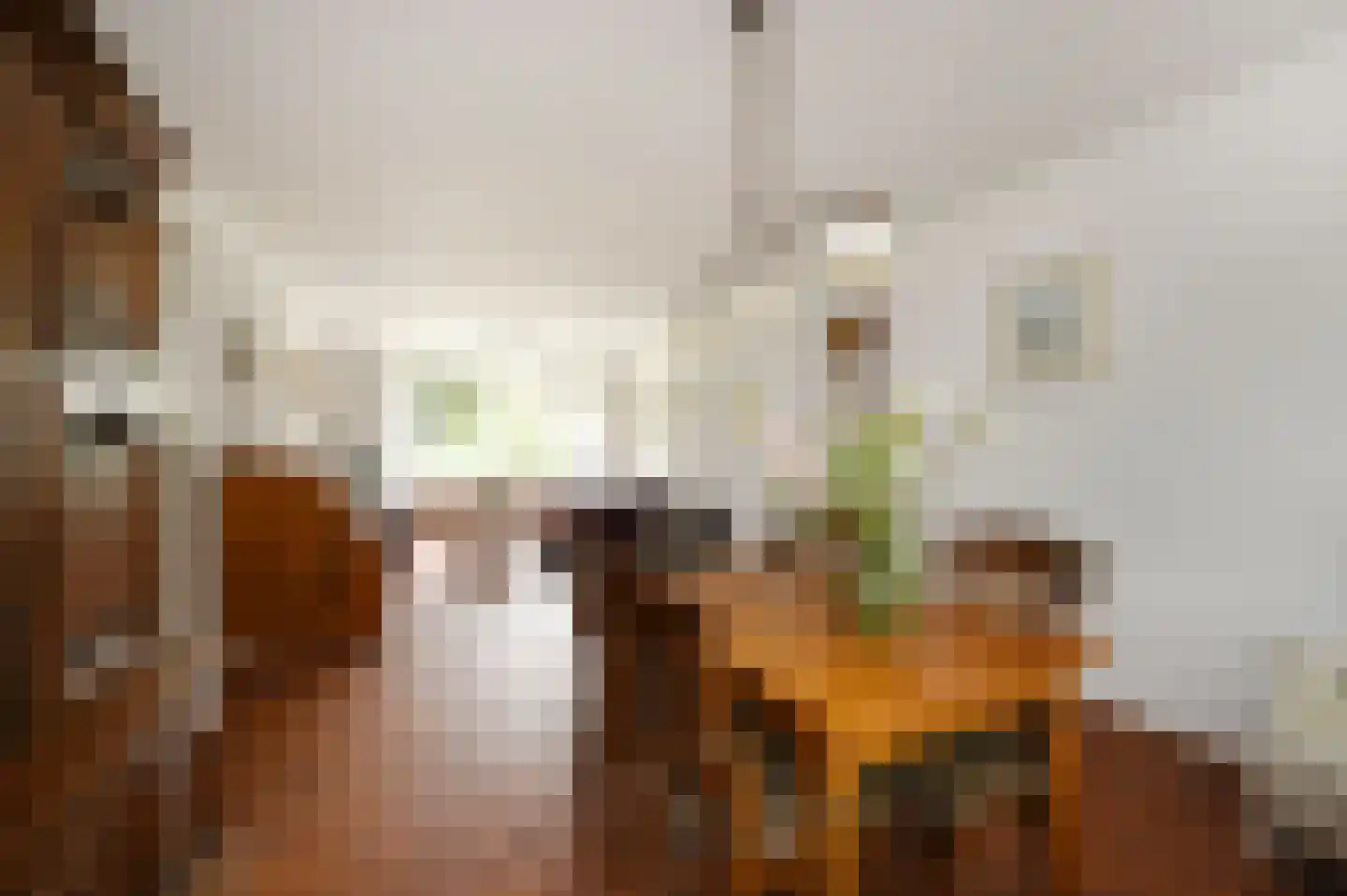 Huis te Landelaan 116 Rijswijk thumbnail 16