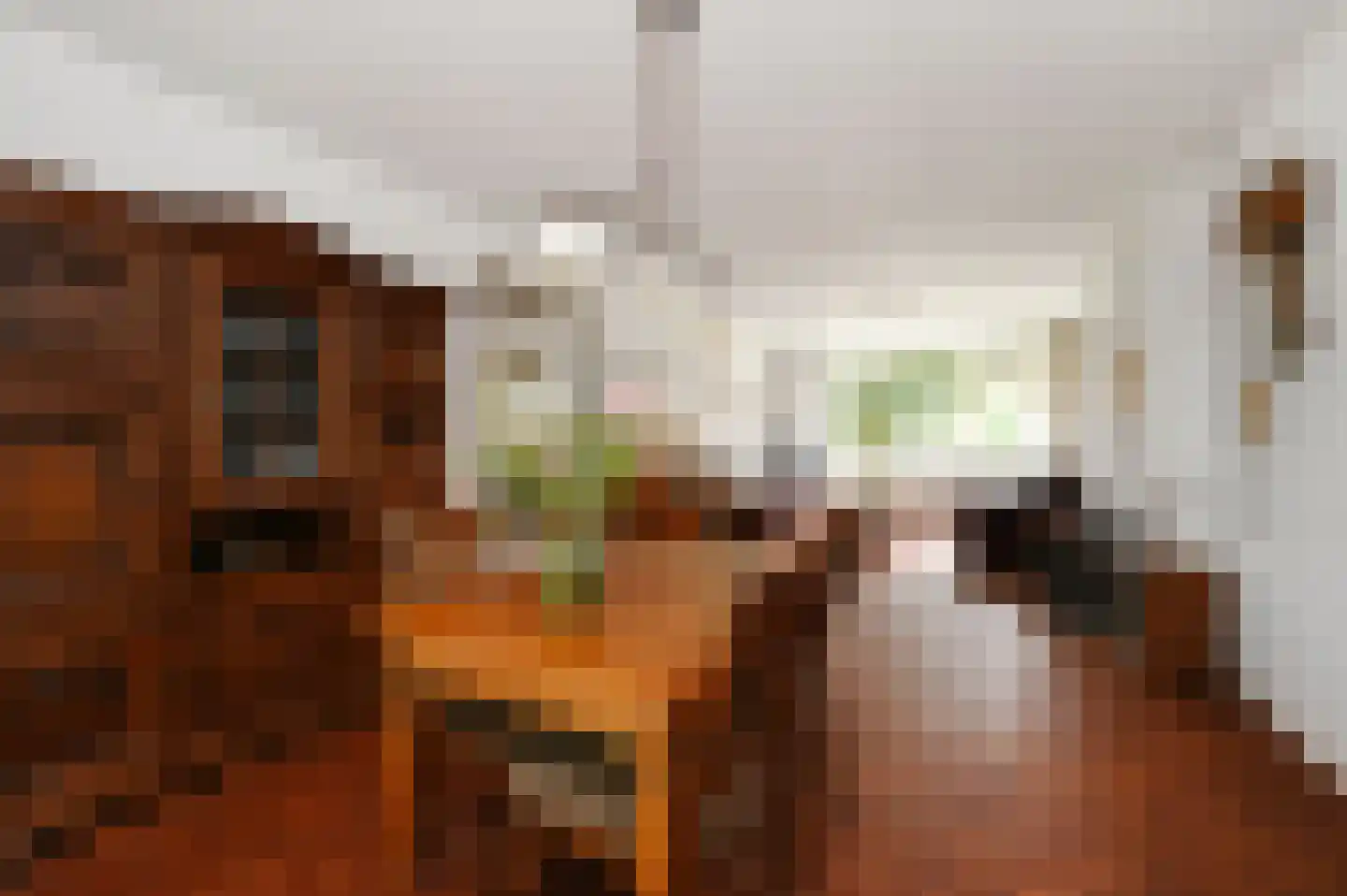 Huis te Landelaan 116 Rijswijk thumbnail 17