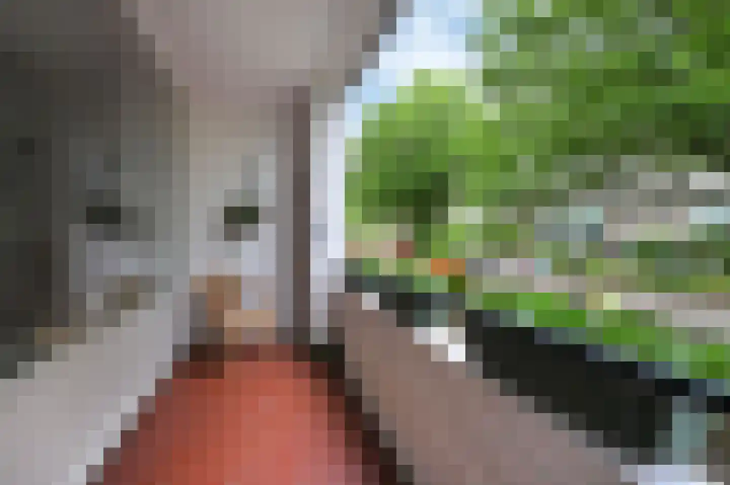 Huis te Landelaan 116 Rijswijk thumbnail 18
