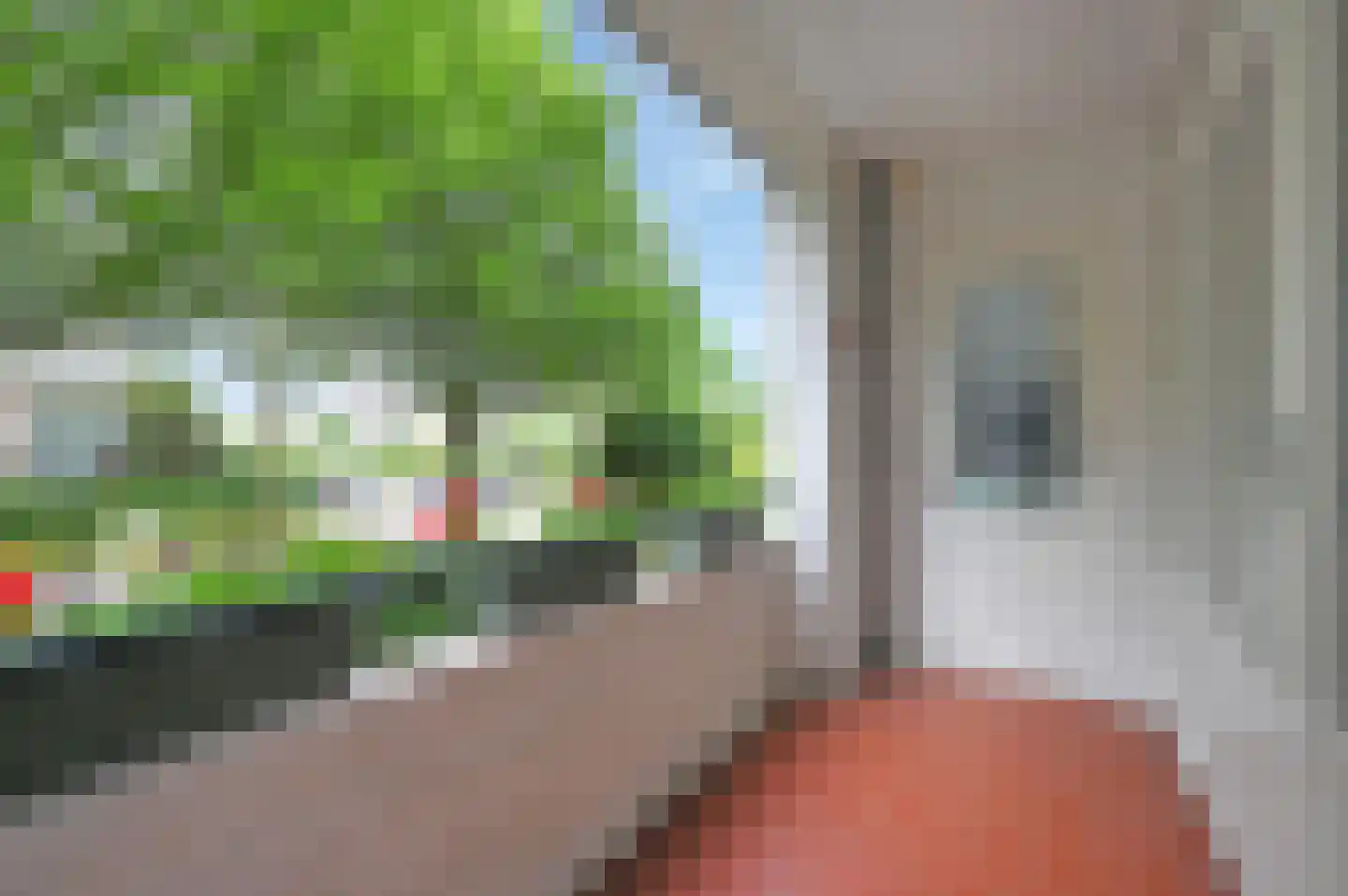 Huis te Landelaan 116 Rijswijk thumbnail 20