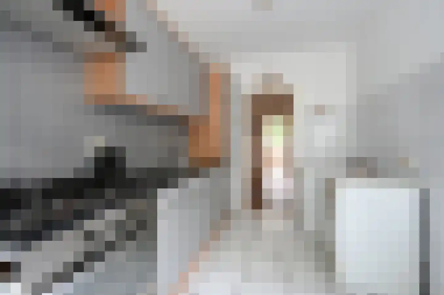 Huis te Landelaan 116 Rijswijk thumbnail 22