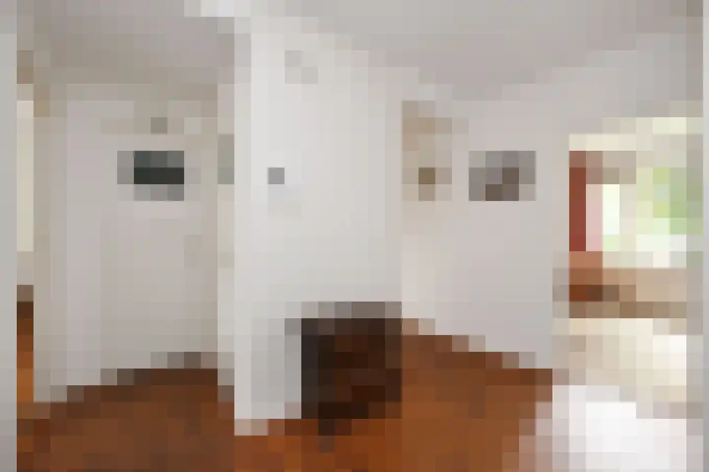 Huis te Landelaan 116 Rijswijk thumbnail 25