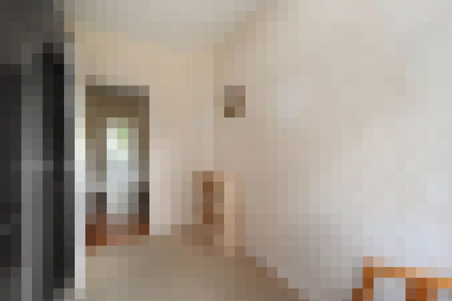 Huis te Landelaan 116 Rijswijk thumbnail 27