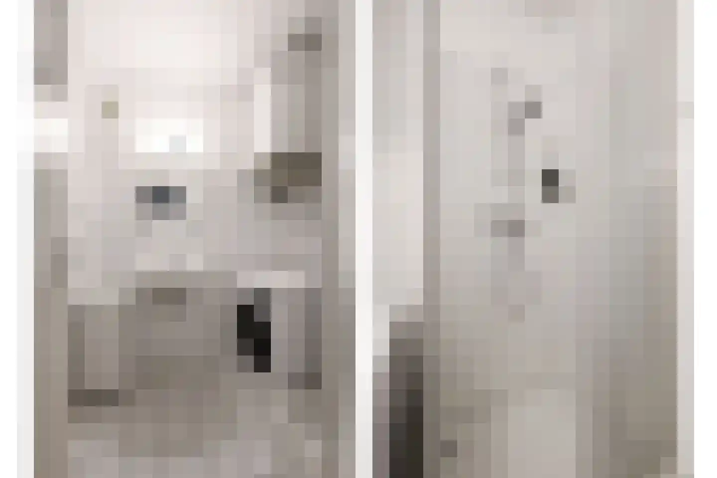Huis te Landelaan 116 Rijswijk thumbnail 29