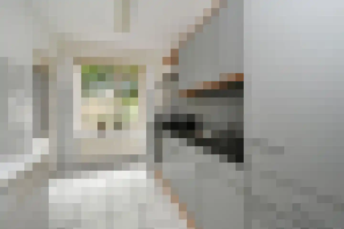 Huis te Landelaan 116 Rijswijk thumbnail 4