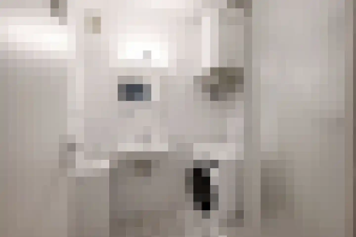Huis te Landelaan 116 Rijswijk thumbnail 6