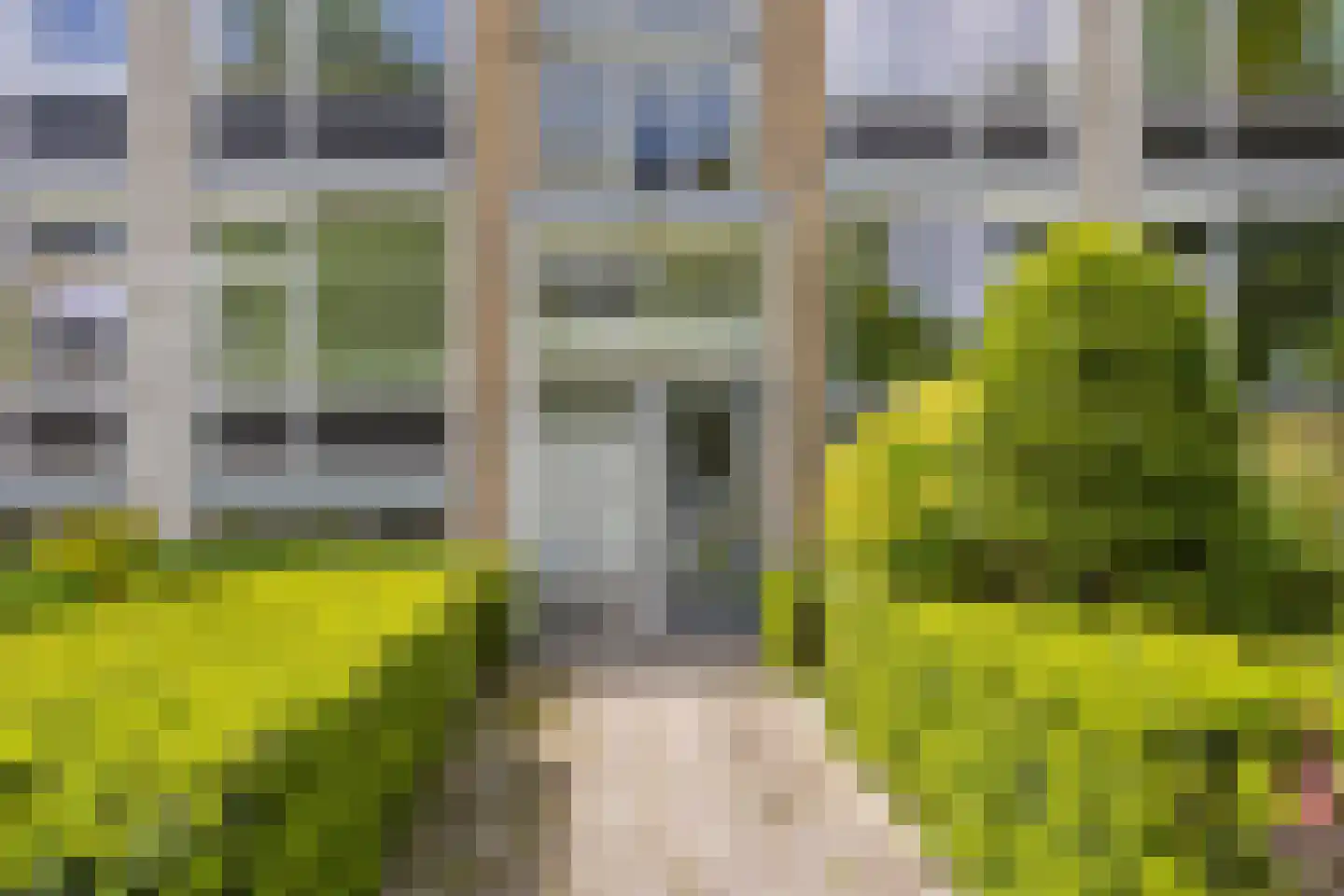 Huis te Landelaan 12 Rijswijk foto 2