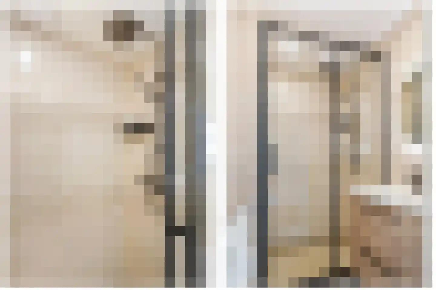 Huis te Landelaan 12 Rijswijk thumbnail 25