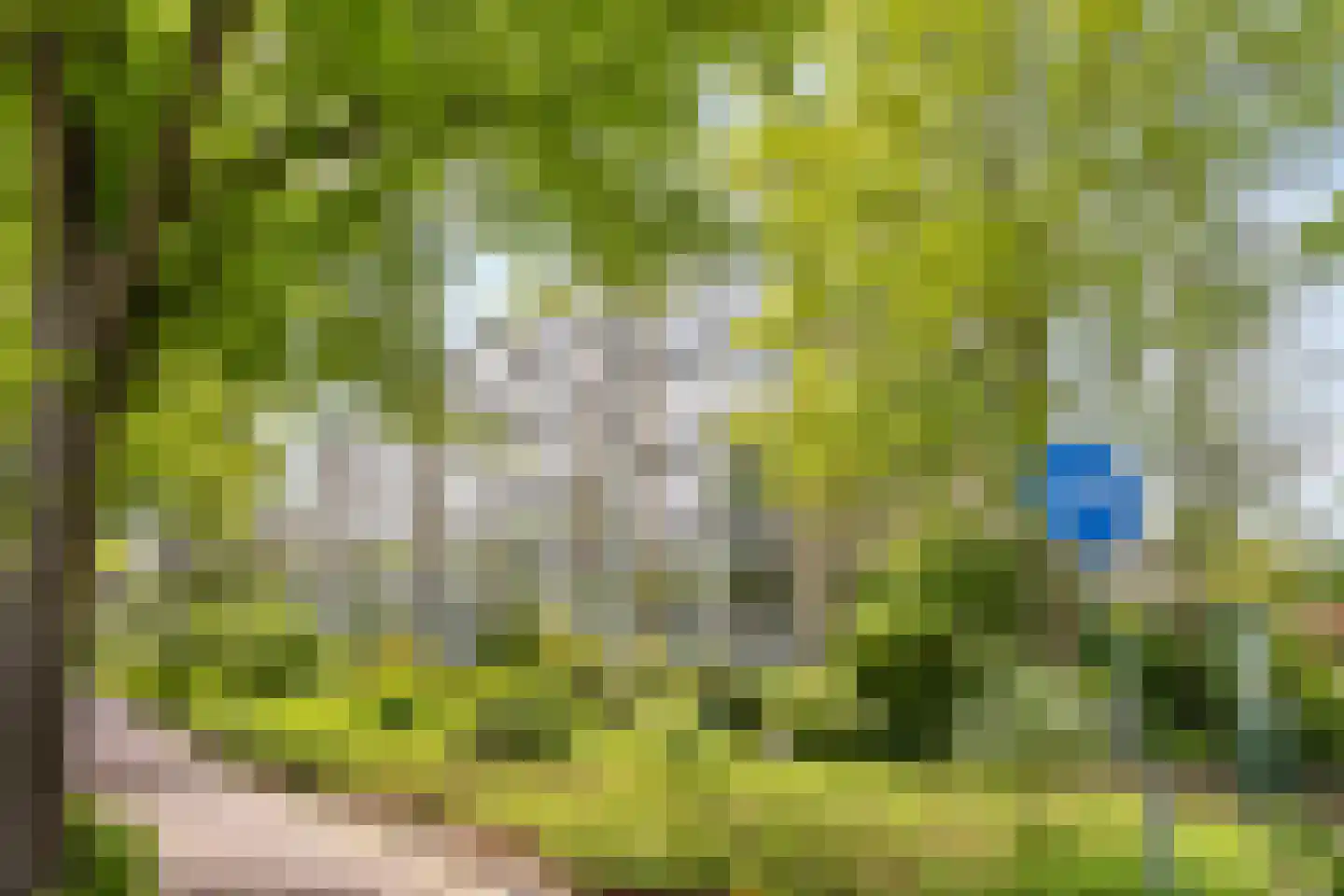 Huis te Landelaan 12 Rijswijk thumbnail 29