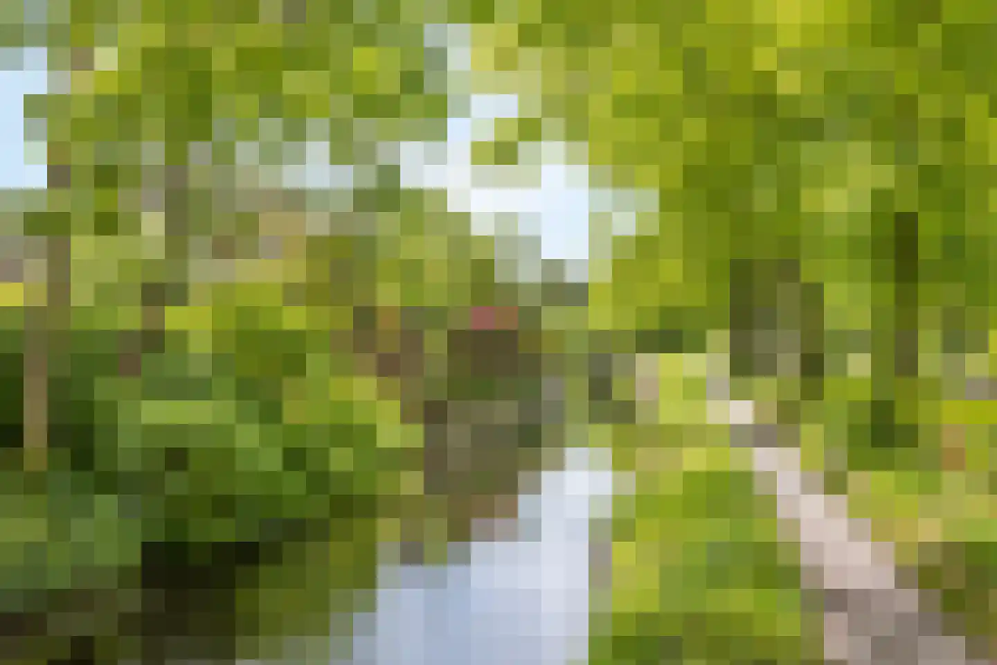 Huis te Landelaan 12 Rijswijk thumbnail 30