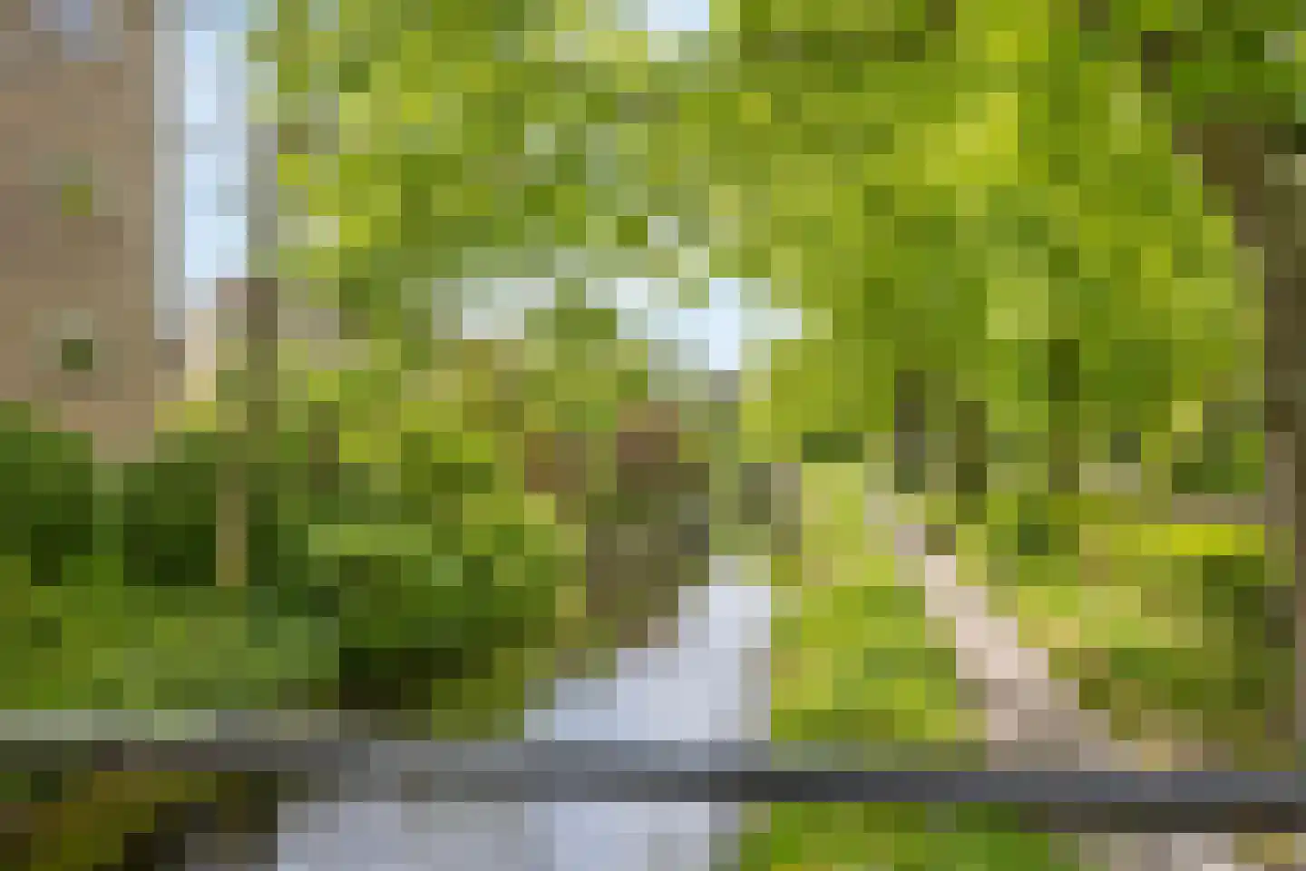 Huis te Landelaan 12 Rijswijk thumbnail 31