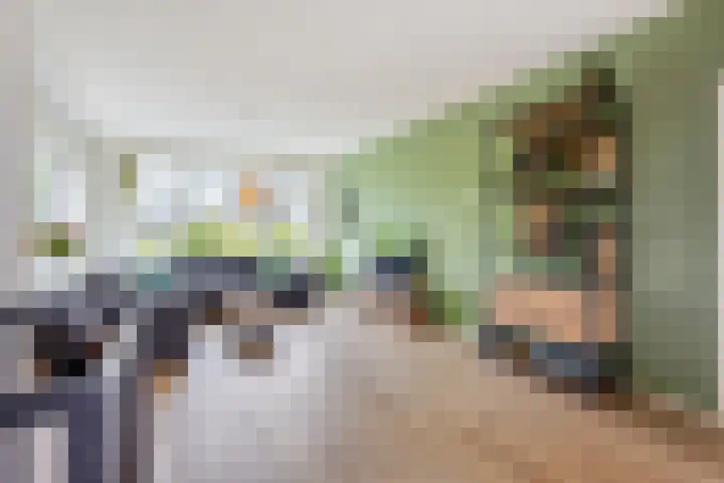 Huis te Landelaan 12 Rijswijk thumbnail 4